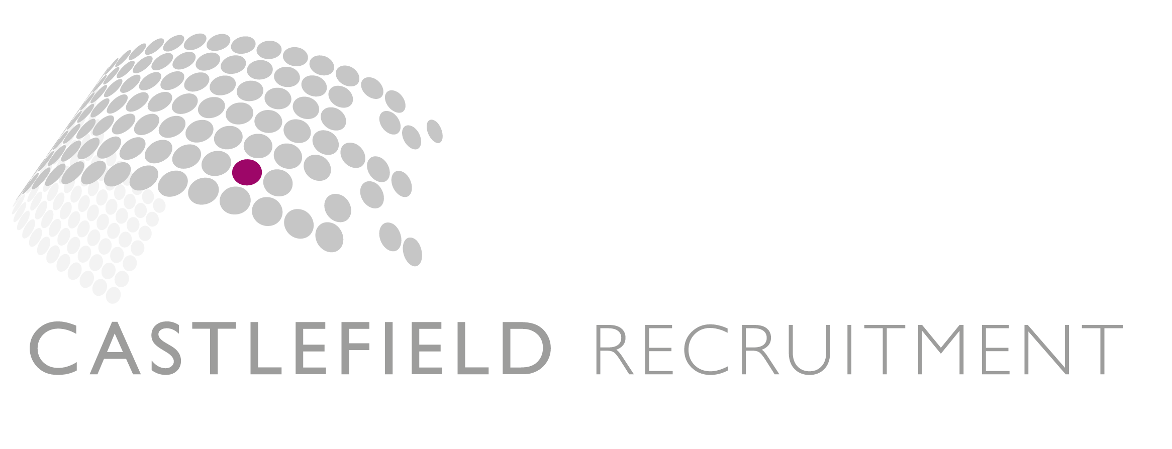 Castle Recruitment Logo png